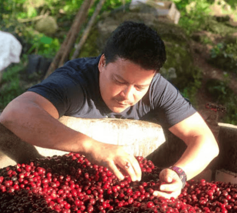 Colombia Medellin N° 19