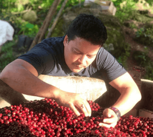 Colombia Medellin N° 19